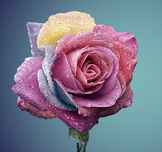 匯勝反光漆恭祝母親節